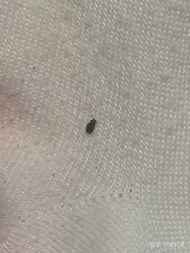 最新资讯 第33页