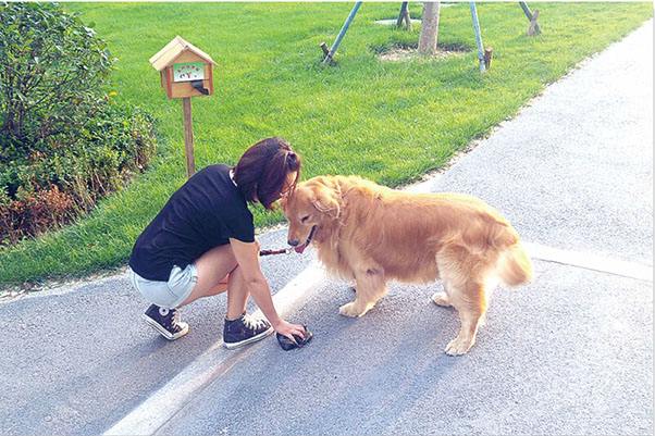烈犬咬死人 狗主人获刑6年半