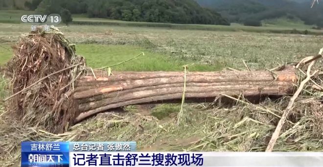 第333页